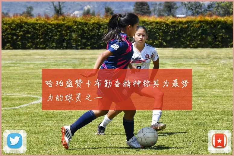 哈珀盛赞卡布勤奋精神称其为最努力的球员之一